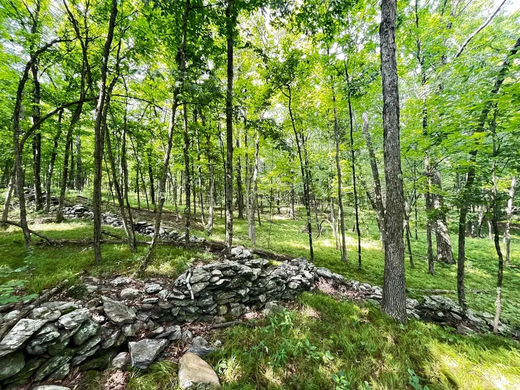 44 Mitchell Lane Red Hook NY 12571