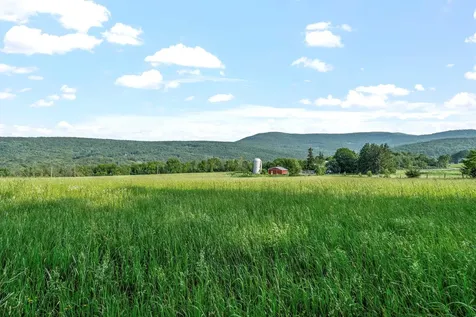 378 County Route 354 Preston Hollow NY 12469