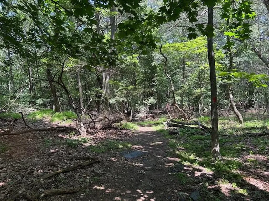 34 Summit Terrace Dobbs Ferry NY 10522
