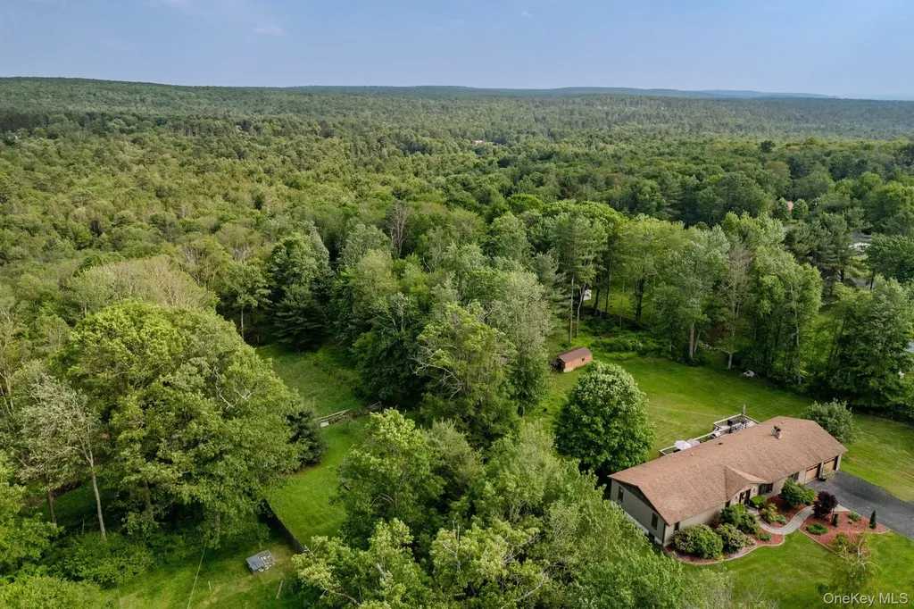 193 Dill Road Forestburgh NY 12777
