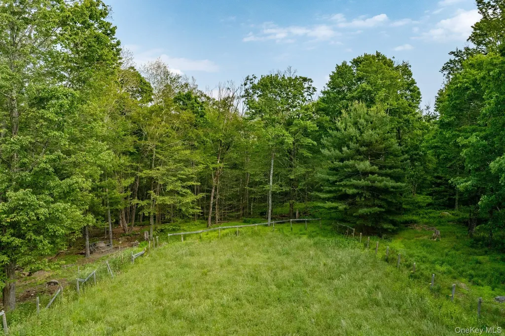 193 Dill Road Forestburgh NY 12777