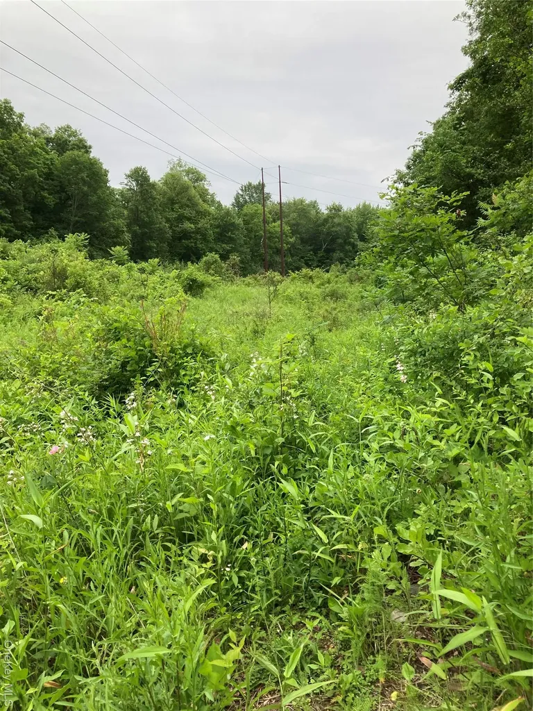 Baxtertown Road Fishkill NY 12524