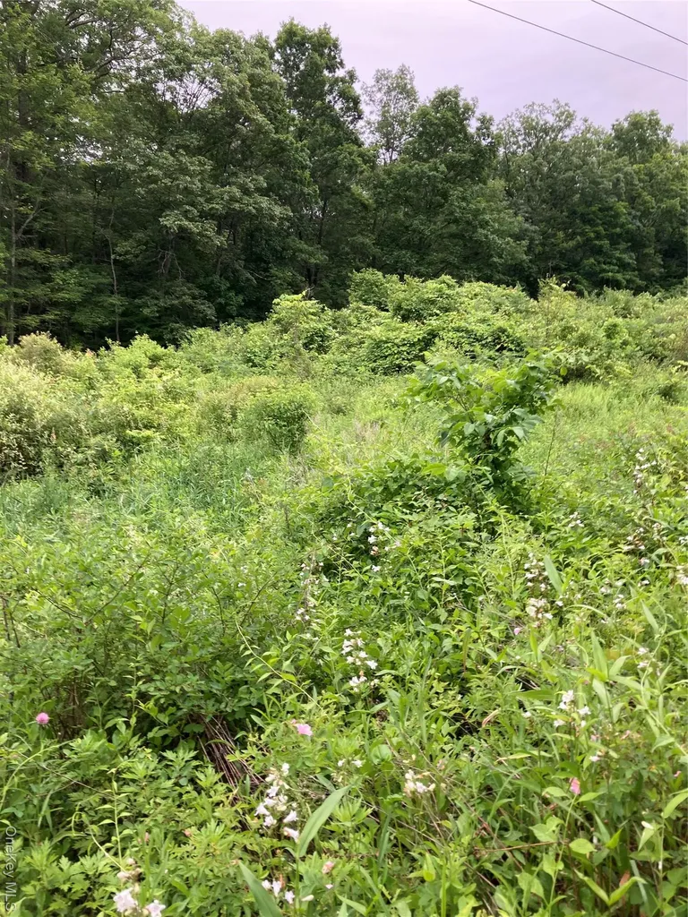 Baxtertown Road Fishkill NY 12524