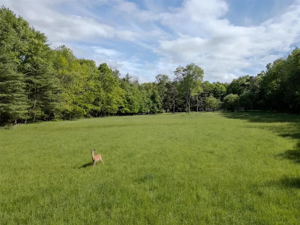 763 County Road 114 Cochecton NY 12726