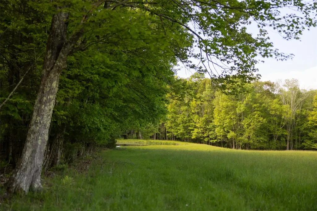 763 County Road 114 Cochecton NY 12726