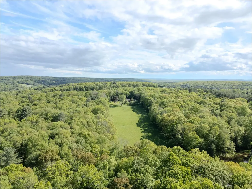 763 County Road 114 Cochecton NY 12726