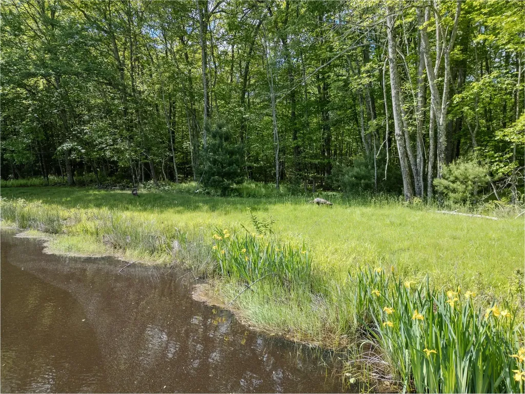 763 County Road 114 Cochecton NY 12726