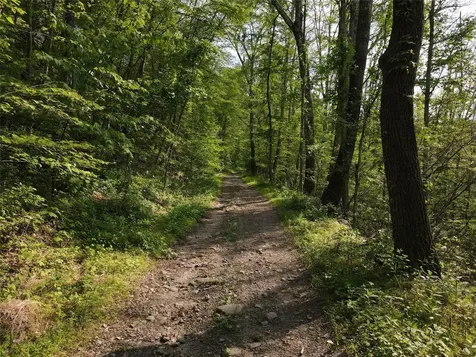 Route 52 Ellenville NY 12489