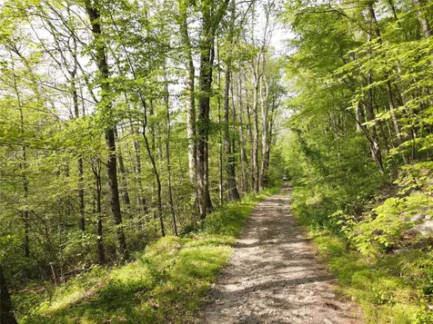 Route 52 Ellenville NY 12489