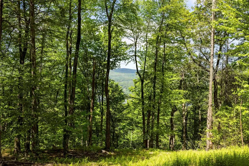 2 Red Rock Road Wawarsing NY