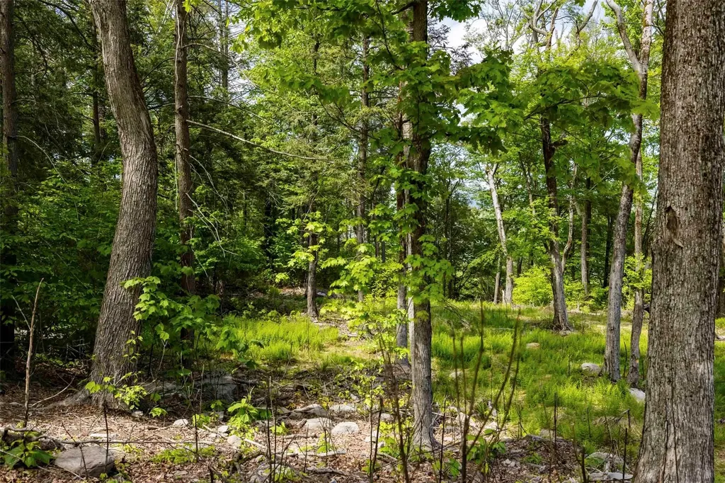 2 Red Rock Road Wawarsing NY