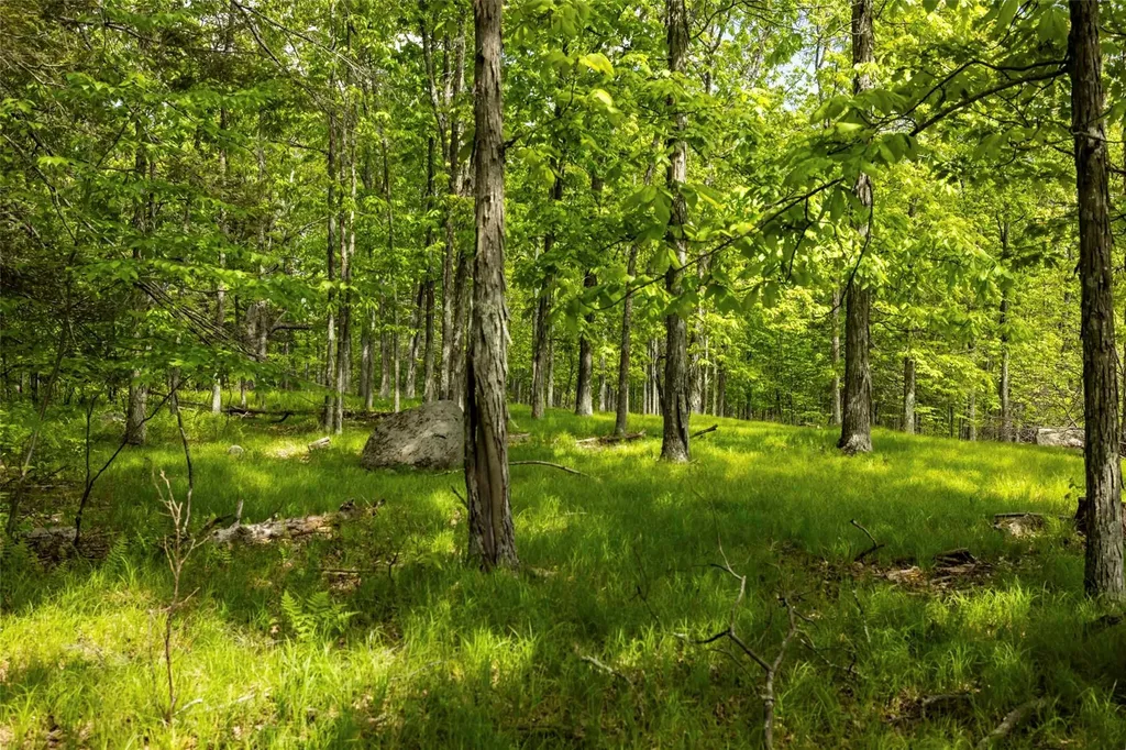 8 Forest Camp Road Wawarsing NY 12489