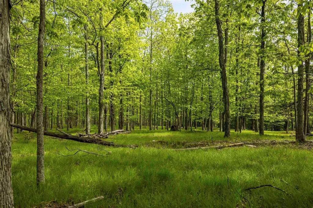 8 Forest Camp Road Wawarsing NY 12489
