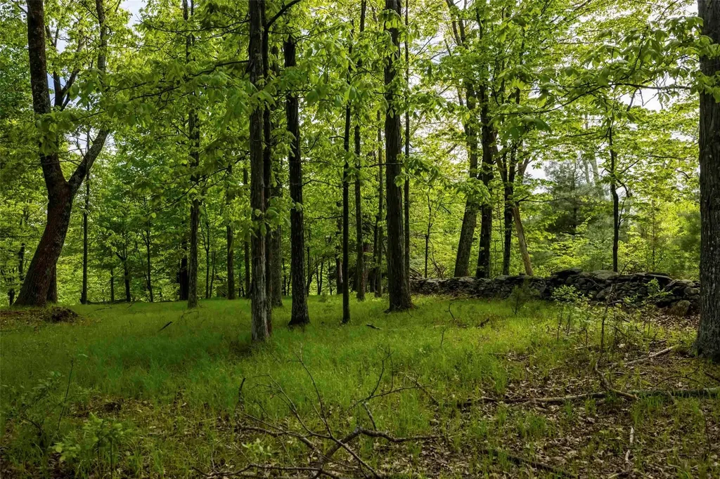 8 Forest Camp Road Wawarsing NY 12489