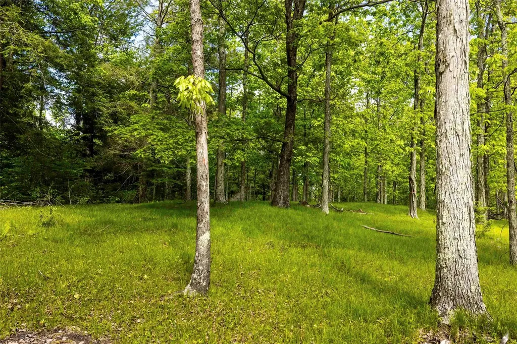 8 Forest Camp Road Wawarsing NY 12489