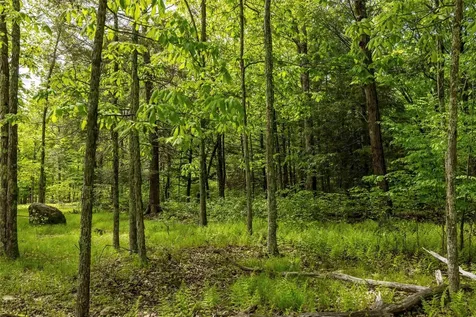 8 Forest Camp Road Wawarsing NY 12489