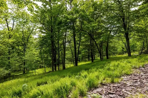 8 Forest Camp Road Wawarsing NY 12489