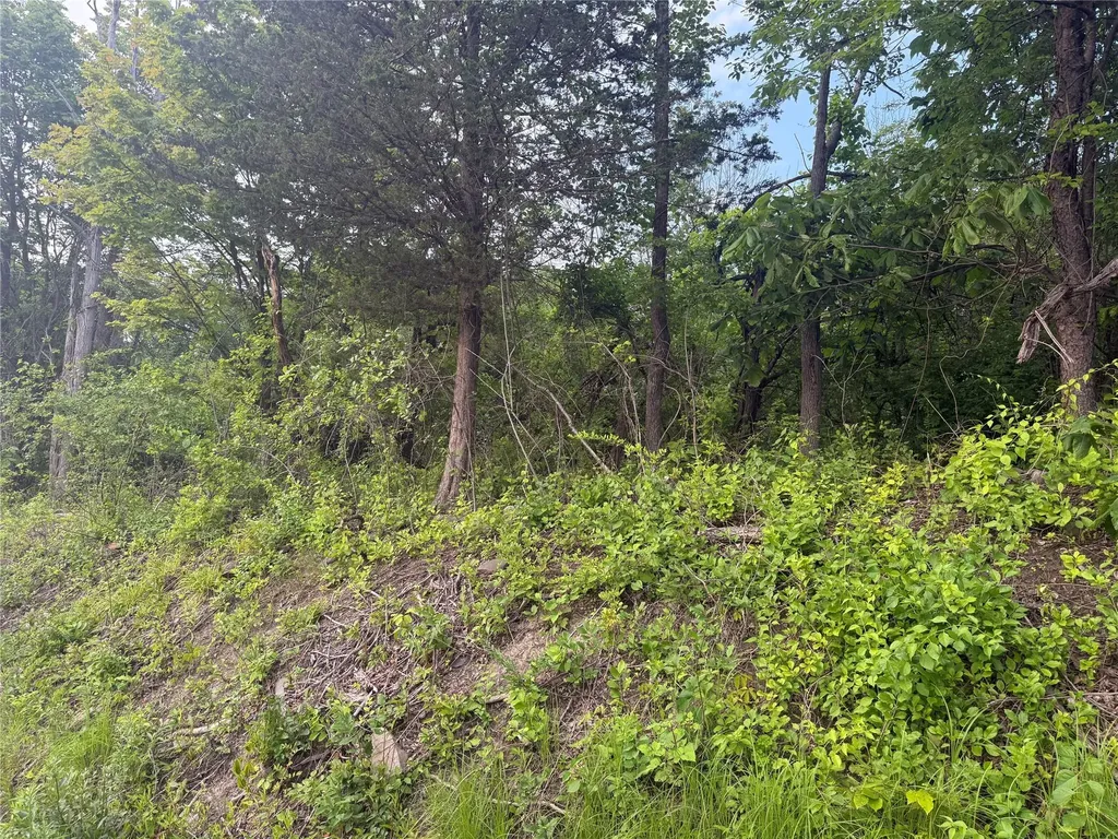 Old Ridge Road Warwick NY 10990