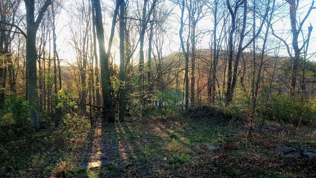 8 Newburgh Road Patterson NY 12563