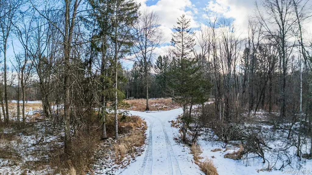 64 Seaman Road Middletown NY 10941