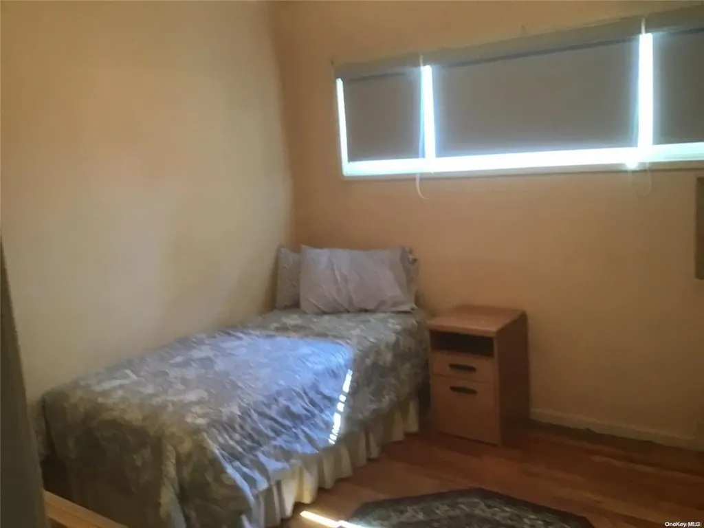 22 Hunter Lane Hicksville NY 11801
