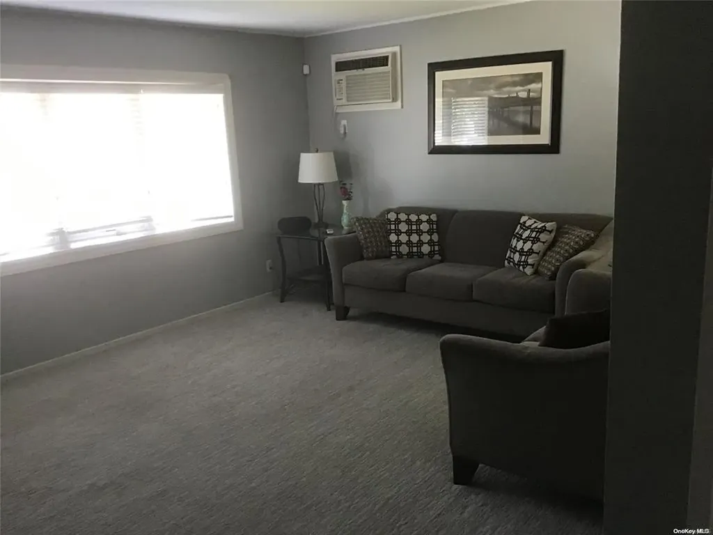 22 Hunter Lane Hicksville NY 11801