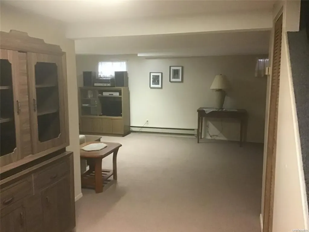 22 Hunter Lane Hicksville NY 11801