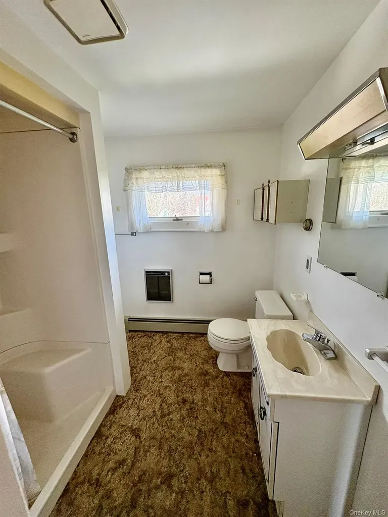 23 Riverside Drive Roscoe NY 12776