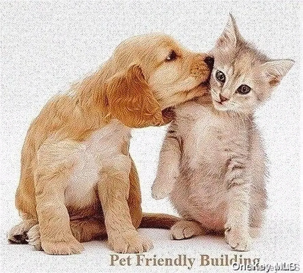 140-10 84th Drive Briarwood NY 11435