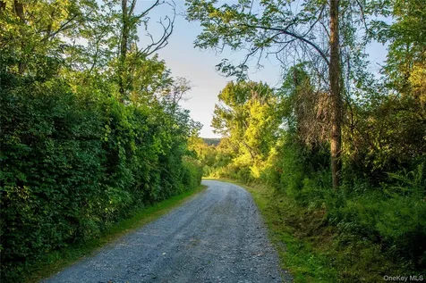 20 Orchard Hill Drive Millbrook NY 12545
