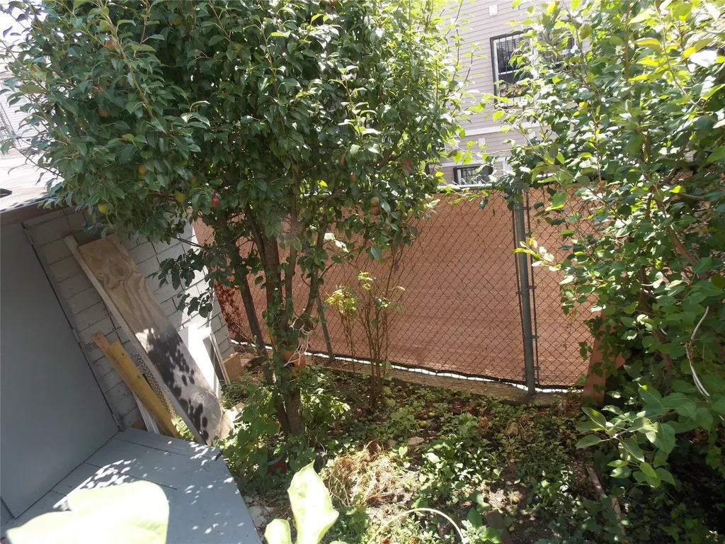 770 Jackson Avenue Bronx NY 10456