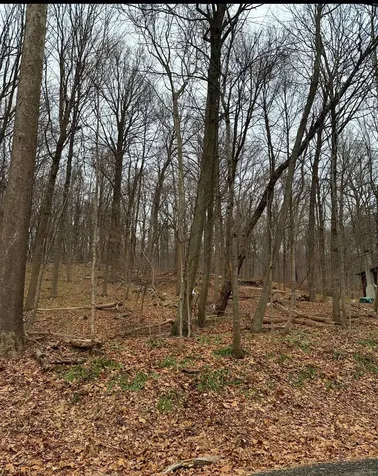 12 Laura Lane Hopewell Junction NY 12533