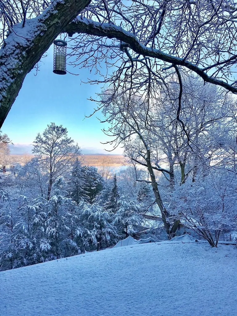20 Birch Lane Dobbs Ferry NY 10522