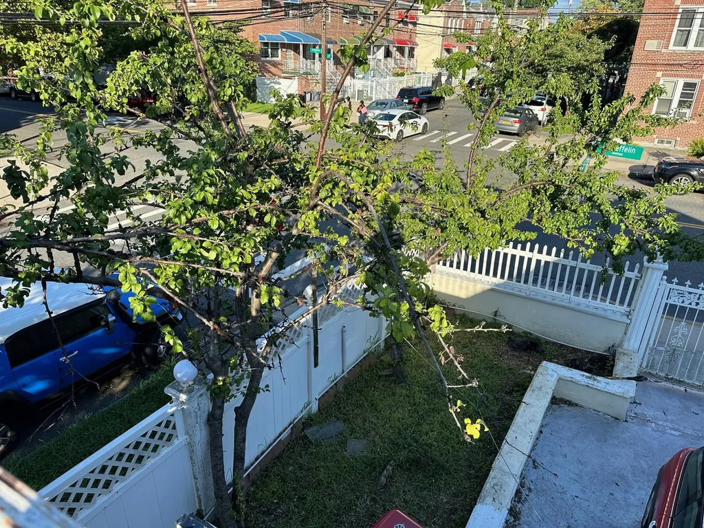 1817 Schieffelin Avenue Bronx NY 10466