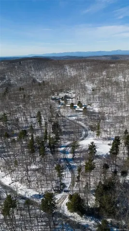 890 Bald Mountain Road Austerlitz NY 12017