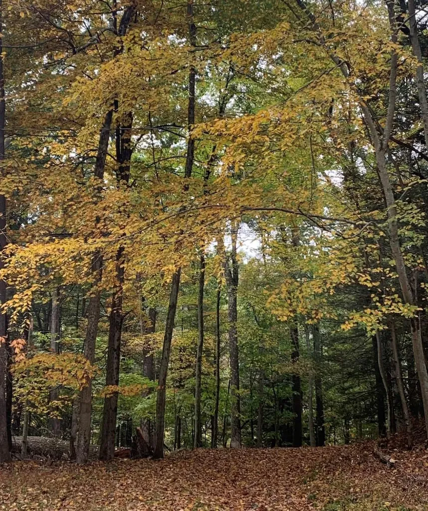 27 Newman Road Pond Eddy NY 12770