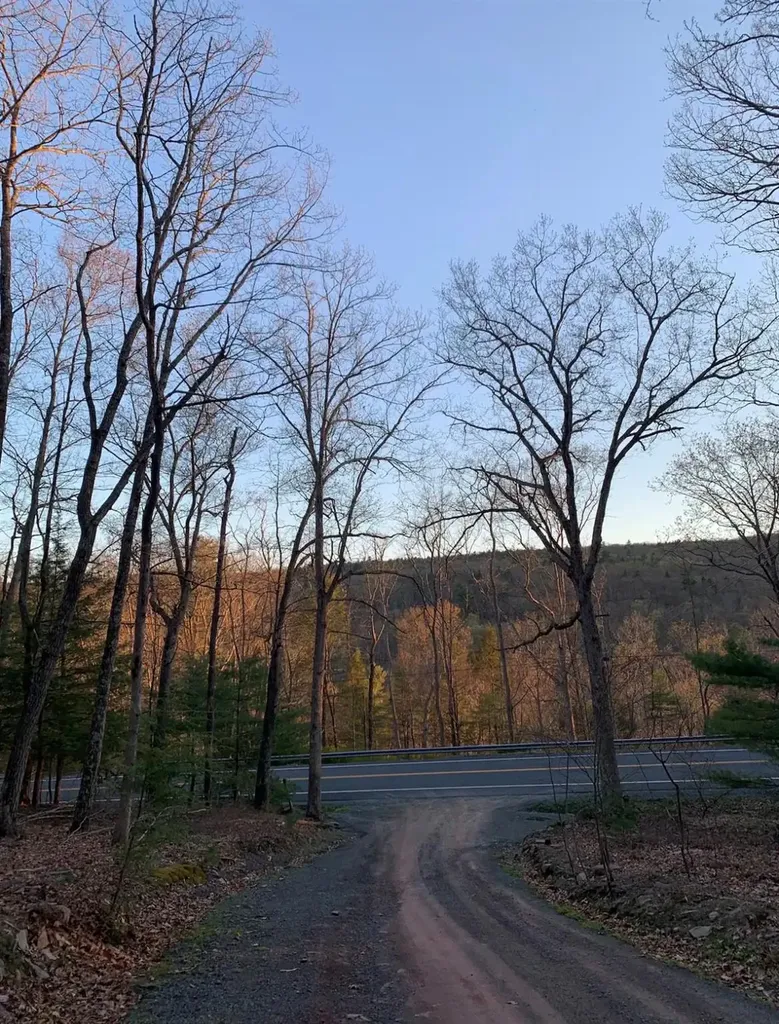 27 Newman Road Pond Eddy NY 12770