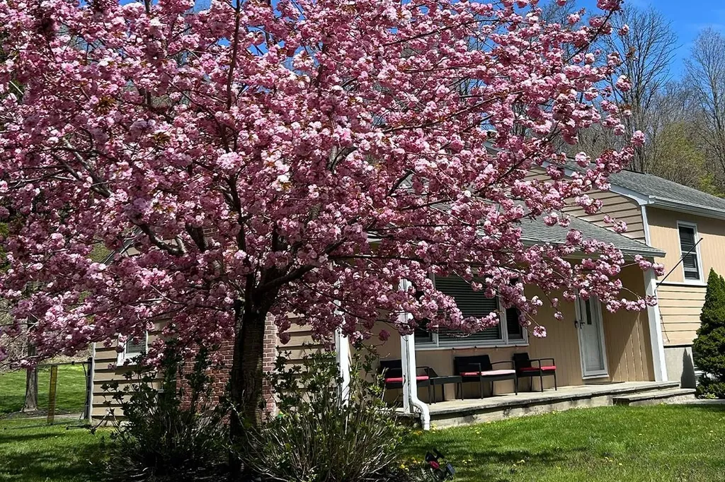 89 Morningside Drive Ossining NY 10562