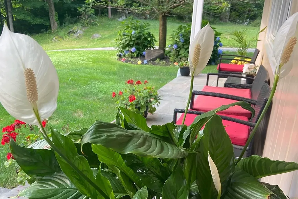 89 Morningside Drive Ossining NY 10562