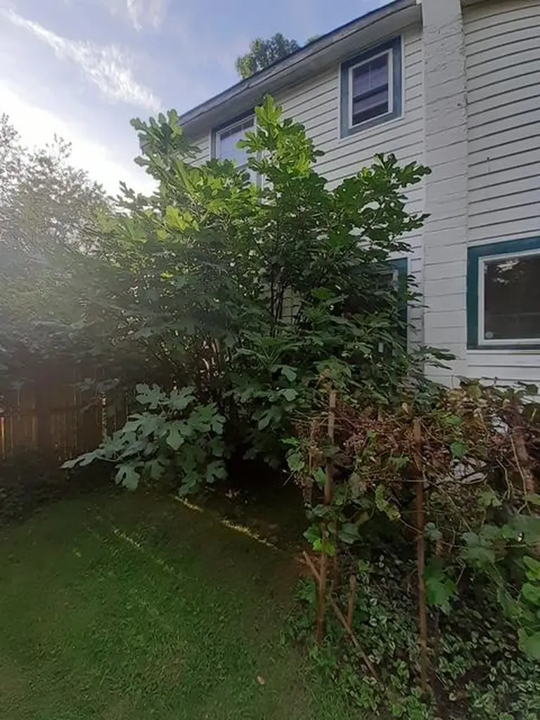 179 Diana Drive Mastic Beach NY 11951