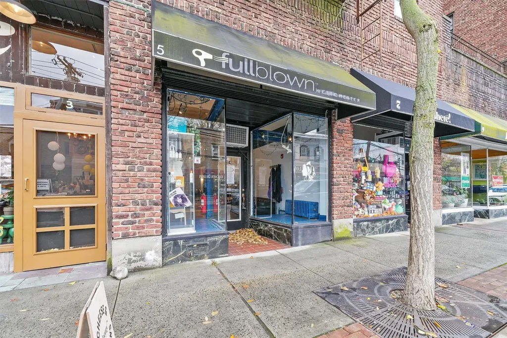 5 Cedar Street Dobbs Ferry NY 10522