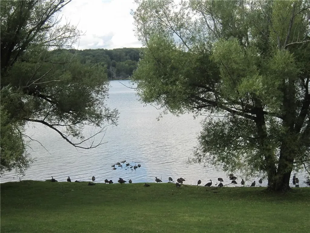 50 Waterview Terrace New Windsor NY 12553