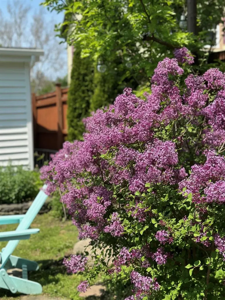 164 Spring Valley Street Beacon NY 12508