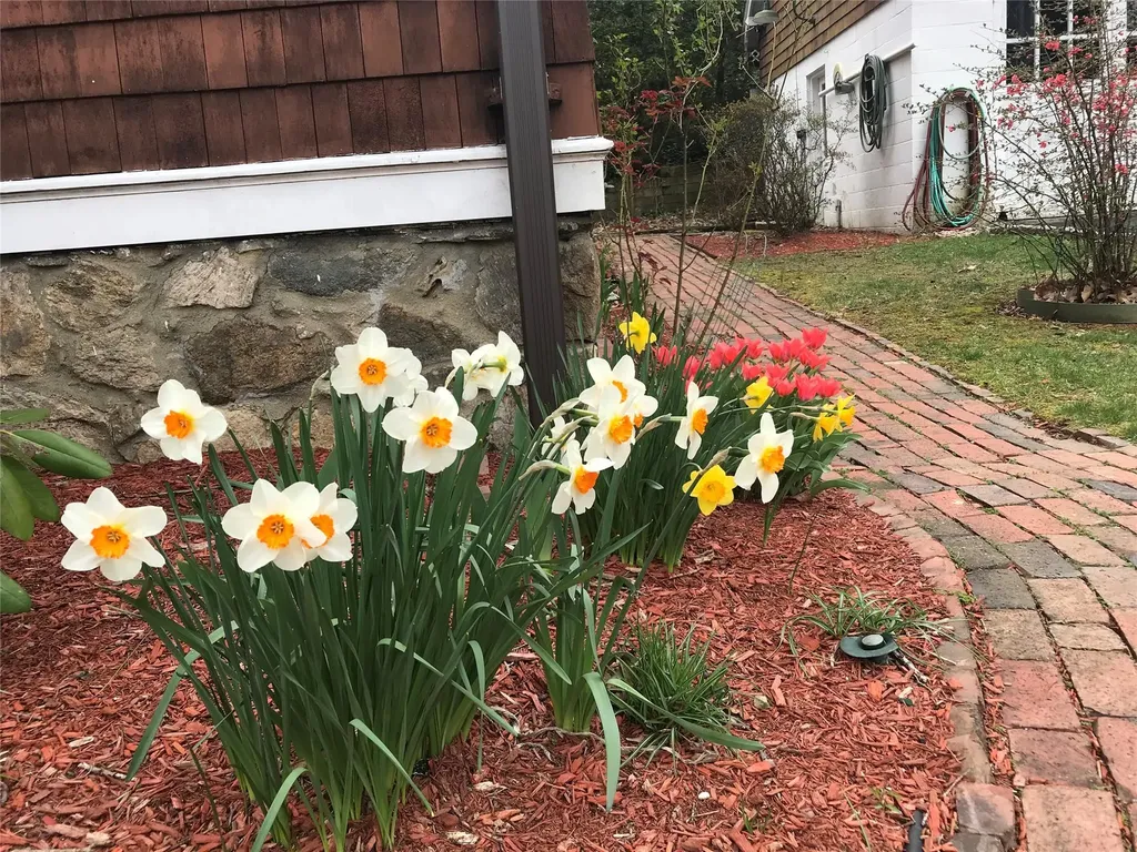 18 Thorn Avenue Mount Kisco NY 10549