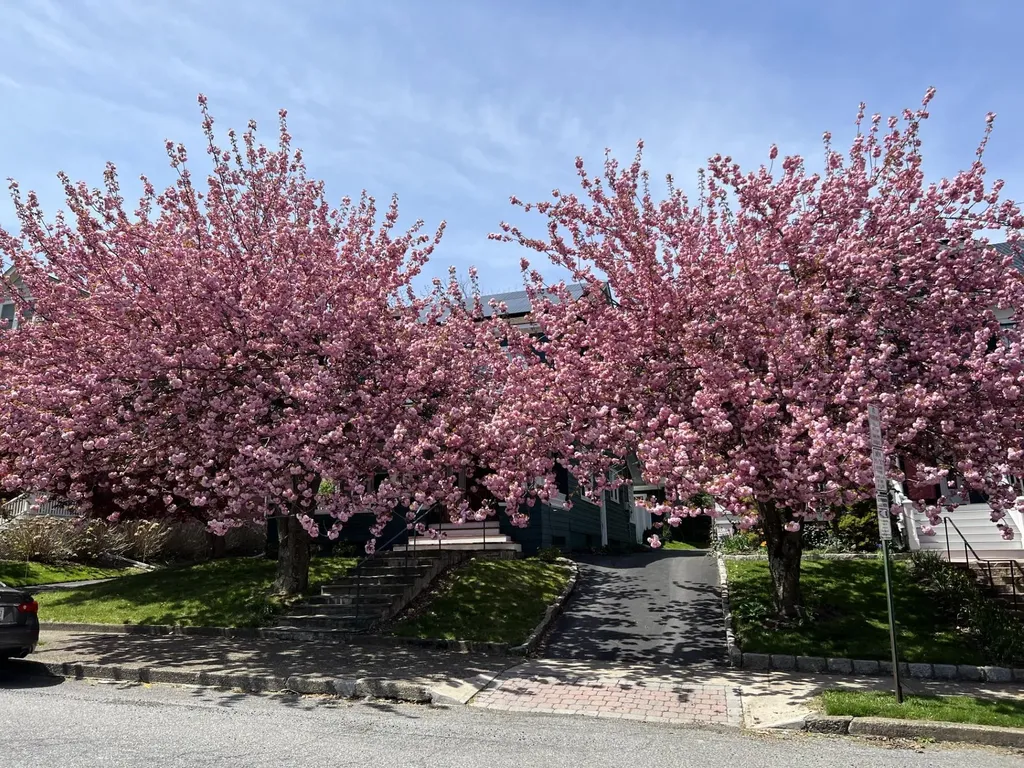 5 Central Avenue Newburgh NY 12550