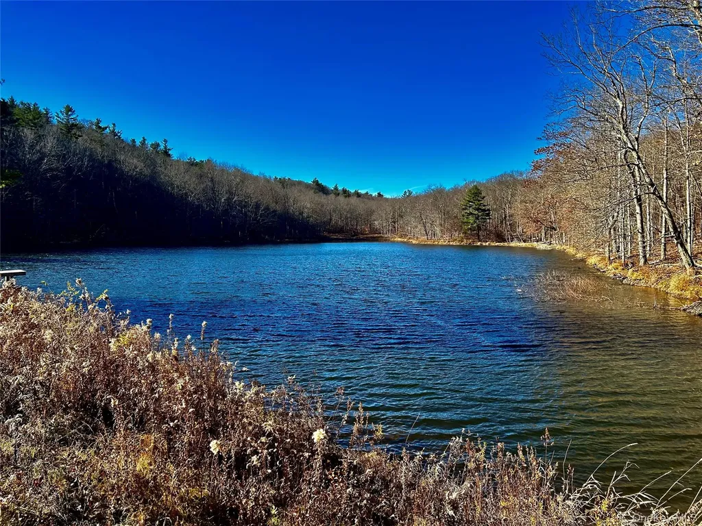 4 West Hill Road Austerlitz NY