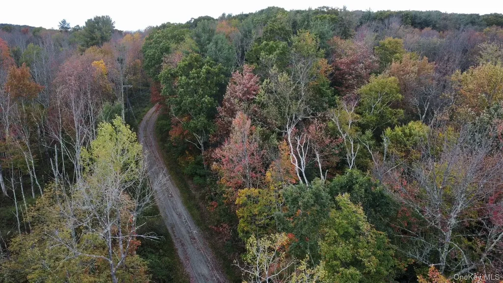 4 West Hill Road Austerlitz NY