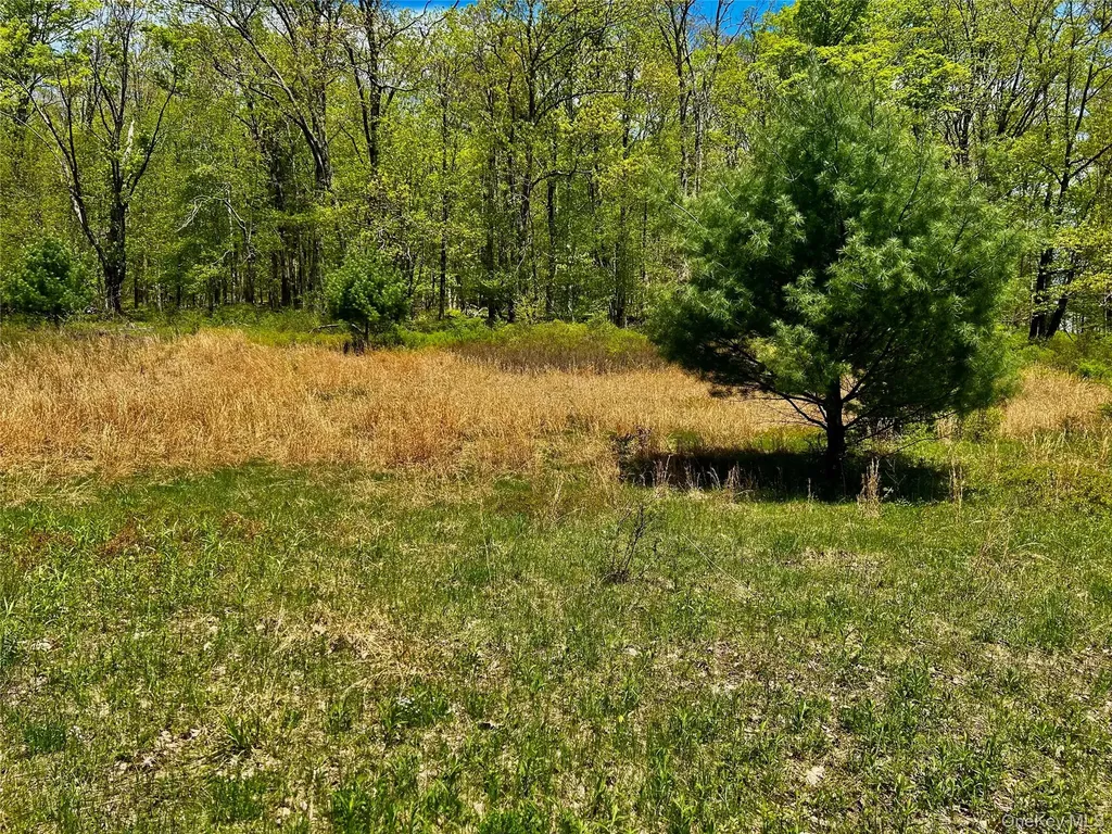 4 West Hill Road Austerlitz NY