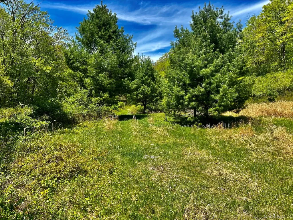 4 West Hill Road Austerlitz NY