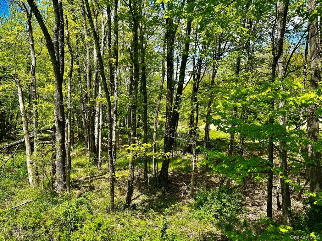4 West Hill Road Austerlitz NY
